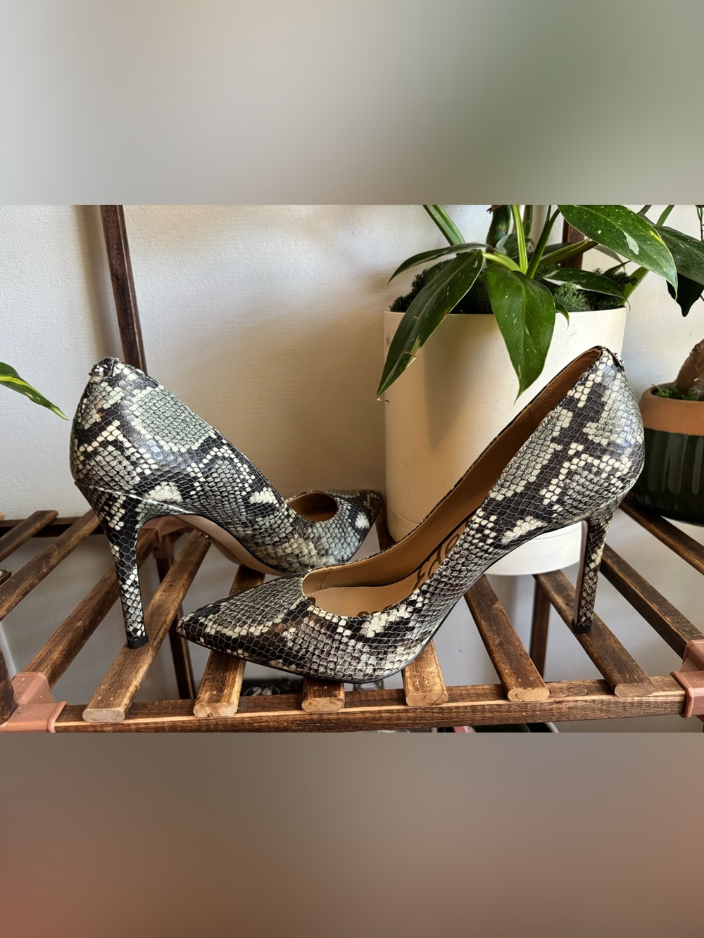 Sam Edelman teal and White Snake-Print Pointed Toe Pumps